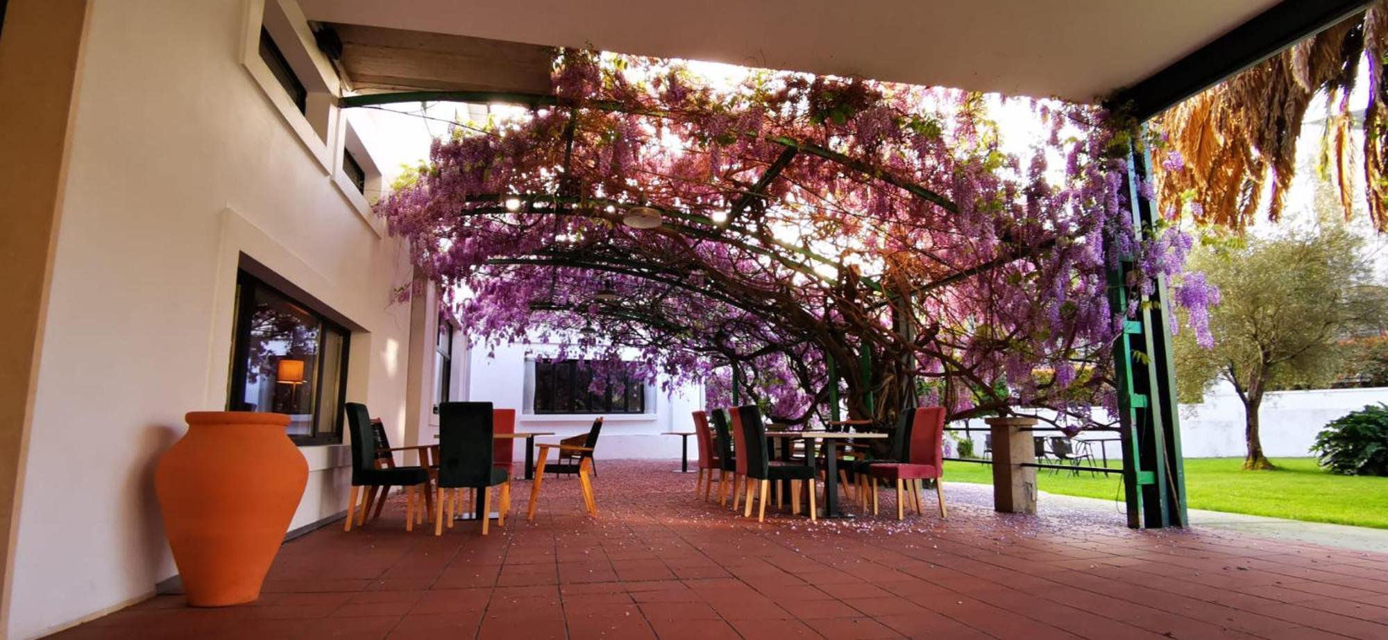 Vina Femita Hostel Villafranca Del Bierzo Bagian luar foto